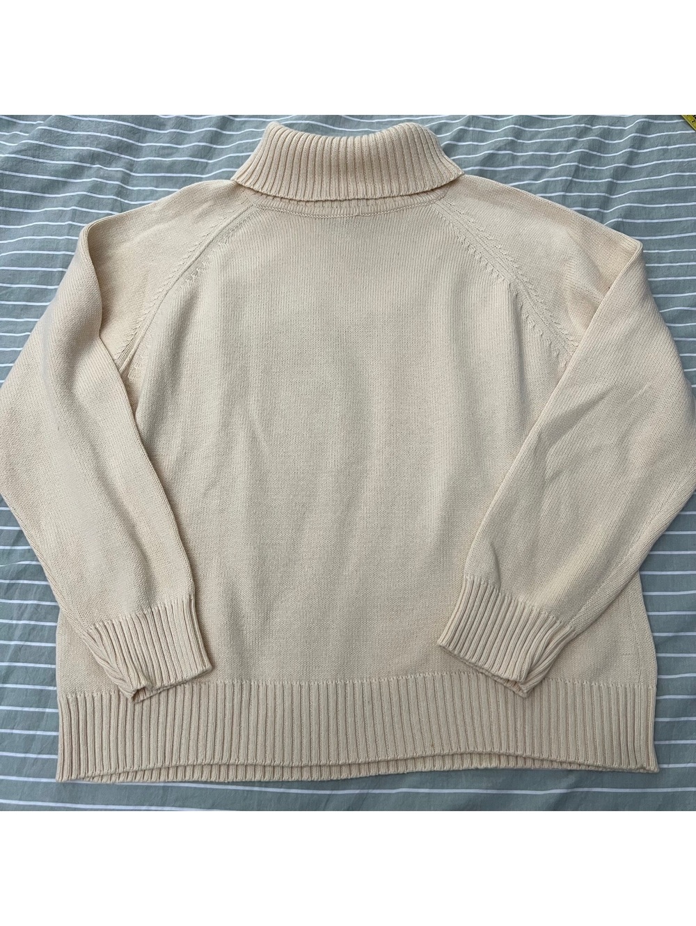 Karen Scott turtleneck sweater